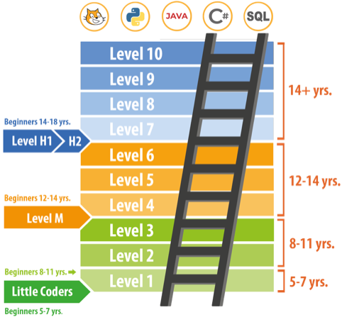 Coder's ladder chart